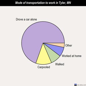 Tyler mode of transportation to work chart