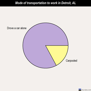 Detroit mode of transportation to work chart