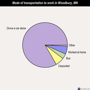 Woodbury mode of transportation to work chart
