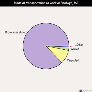 Baldwyn mode of transportation to work chart