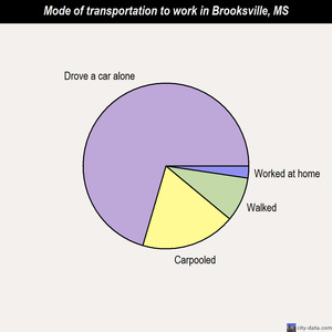 Brooksville mode of transportation to work chart