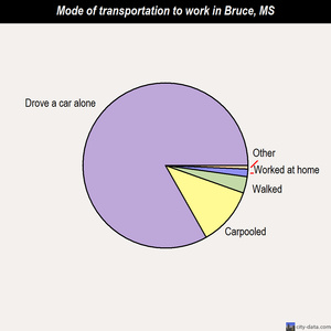 Bruce mode of transportation to work chart