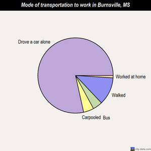 Burnsville mode of transportation to work chart