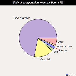 Derma mode of transportation to work chart