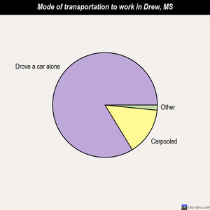 Drew mode of transportation to work chart
