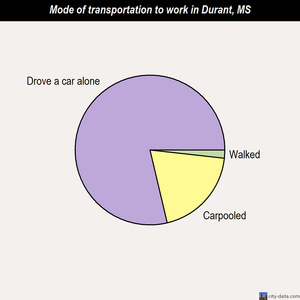 Durant mode of transportation to work chart