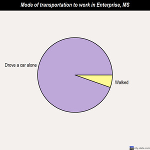 Enterprise mode of transportation to work chart