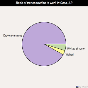 Cash mode of transportation to work chart