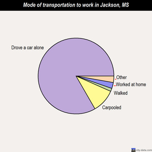 Jackson mode of transportation to work chart