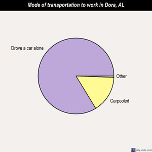 Dora mode of transportation to work chart