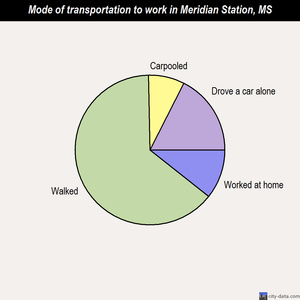 Meridian Station mode of transportation to work chart