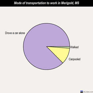Merigold mode of transportation to work chart
