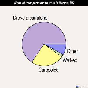 Morton mode of transportation to work chart