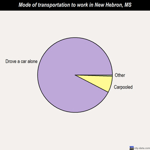 New Hebron mode of transportation to work chart