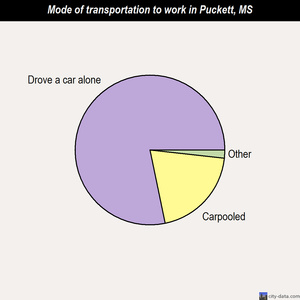 Puckett mode of transportation to work chart