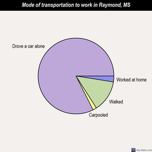 Raymond mode of transportation to work chart