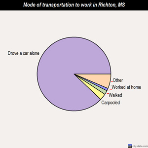 Richton mode of transportation to work chart