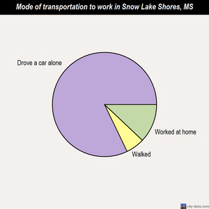 Snow Lake Shores mode of transportation to work chart