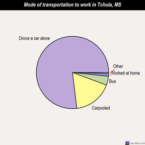 Tchula mode of transportation to work chart