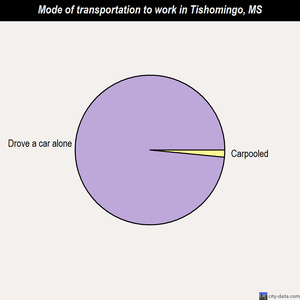 Tishomingo mode of transportation to work chart