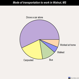 Walnut mode of transportation to work chart