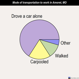 Amoret mode of transportation to work chart