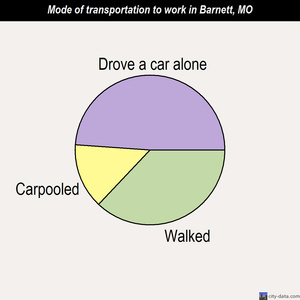 Barnett mode of transportation to work chart