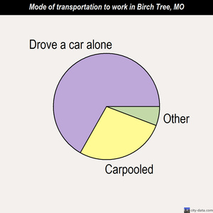 Birch Tree mode of transportation to work chart