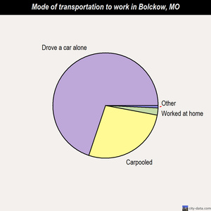 Bolckow mode of transportation to work chart