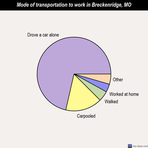 Breckenridge mode of transportation to work chart
