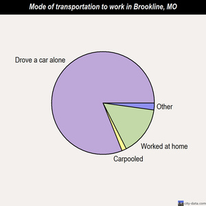 Brookline mode of transportation to work chart