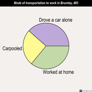 Brumley mode of transportation to work chart