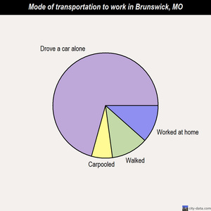 Brunswick mode of transportation to work chart