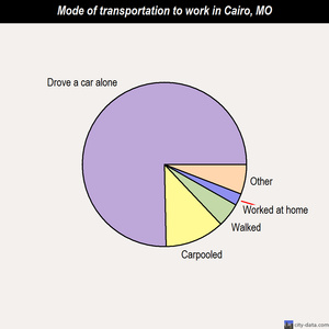 Cairo mode of transportation to work chart