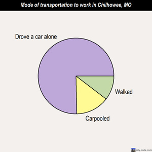 Chilhowee mode of transportation to work chart