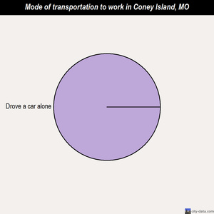 Coney Island mode of transportation to work chart