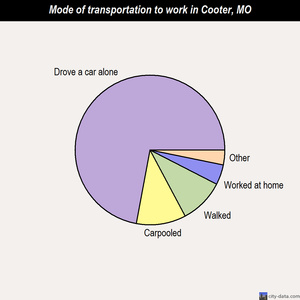 Cooter mode of transportation to work chart