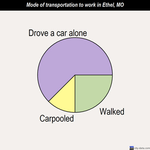 Ethel mode of transportation to work chart