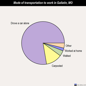 Gallatin mode of transportation to work chart