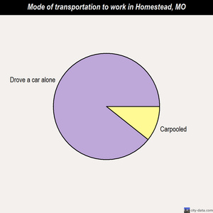 Homestead mode of transportation to work chart