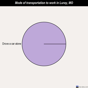 Luray mode of transportation to work chart