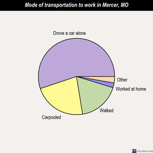 Mercer mode of transportation to work chart