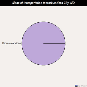 Neck City mode of transportation to work chart