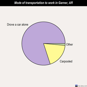 Garner mode of transportation to work chart