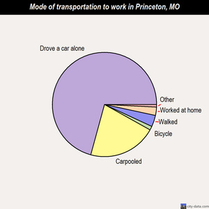 Princeton mode of transportation to work chart