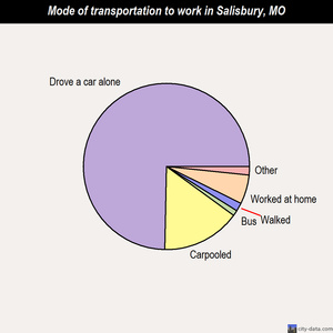 Salisbury mode of transportation to work chart