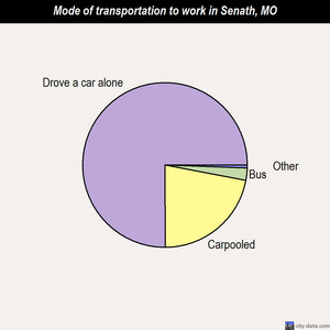 Senath mode of transportation to work chart
