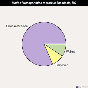 Theodosia mode of transportation to work chart