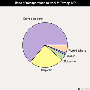 Turney mode of transportation to work chart