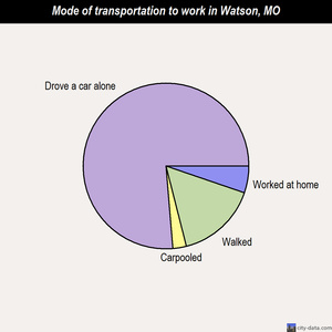 Watson mode of transportation to work chart